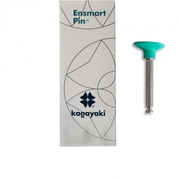 Силиконовые полиры Kagayaki Ensmart Pin на МЕТАЛ.ножке - Зеленый ДИСК - грубая абраз. - 30 штук - ENP 70-2S